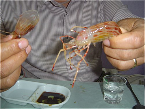 출장 가는 남편한테는 산 새우 먹이지 마세요 